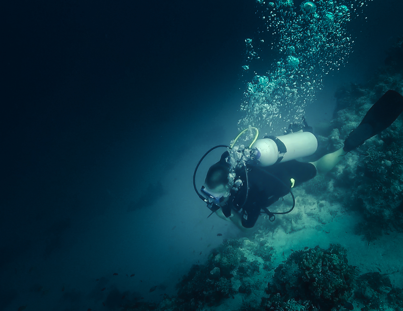 Balicasag Diving - Diving Balicasag