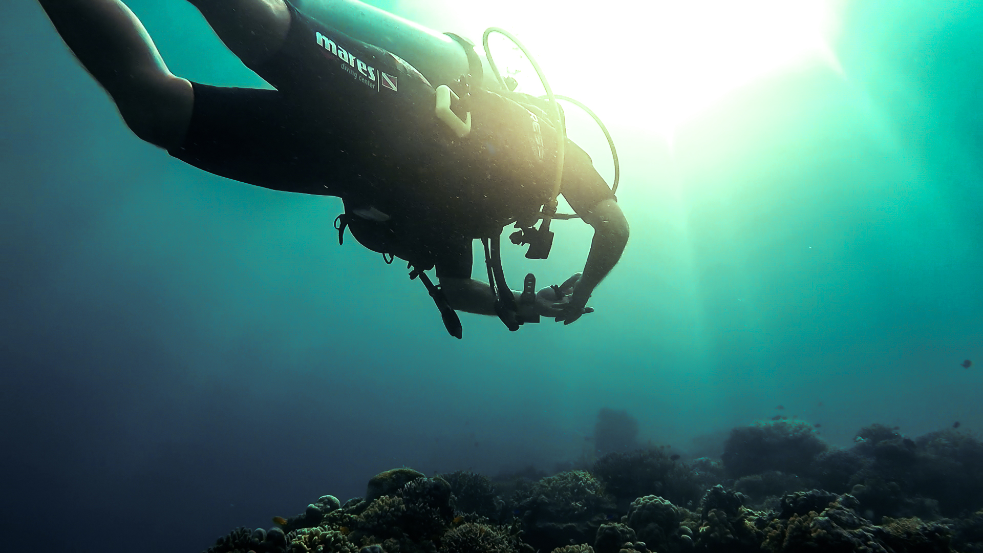 Top 5 Bohol Dive Sites