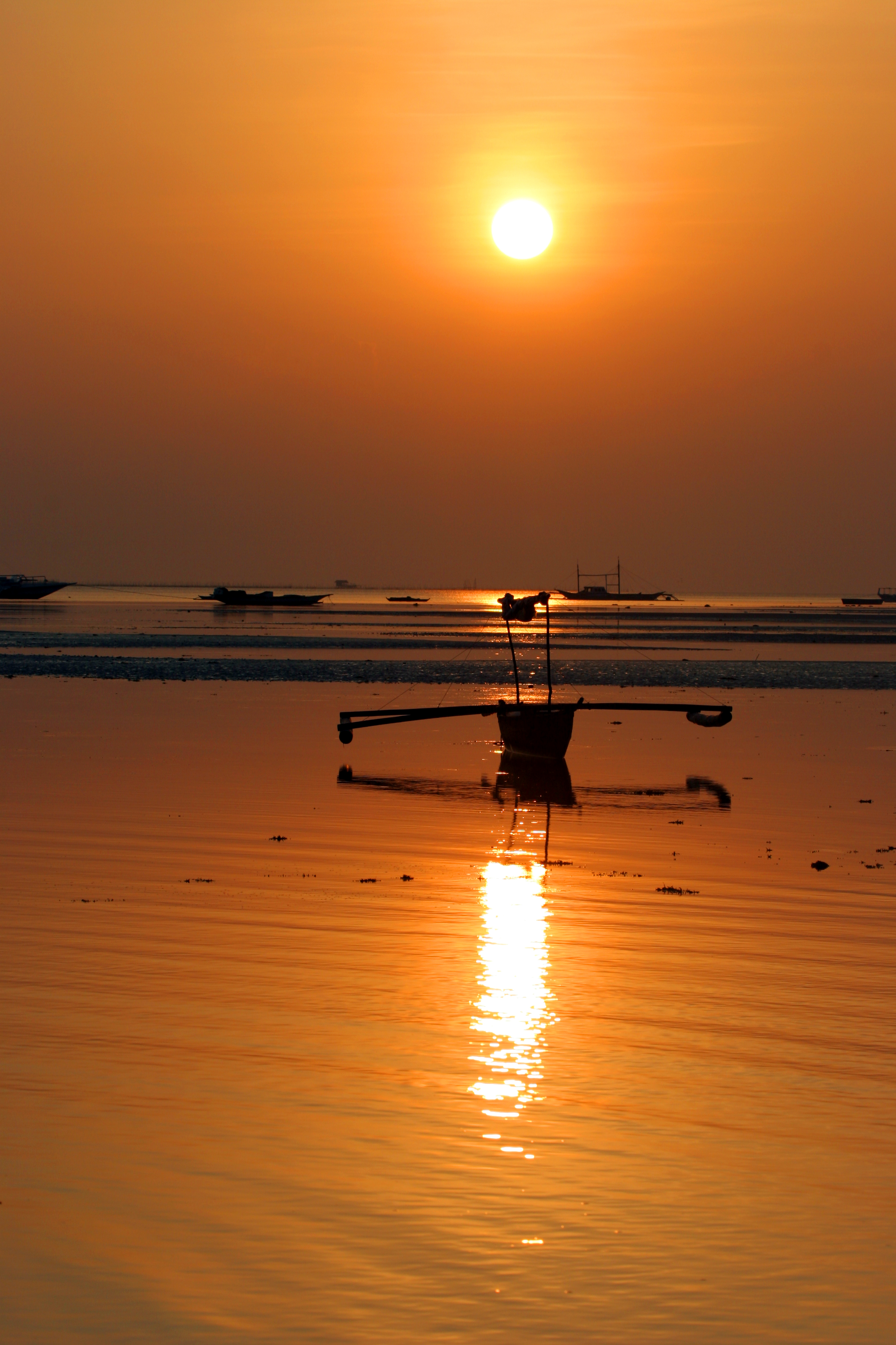Bohol Diving - Diving Bohol