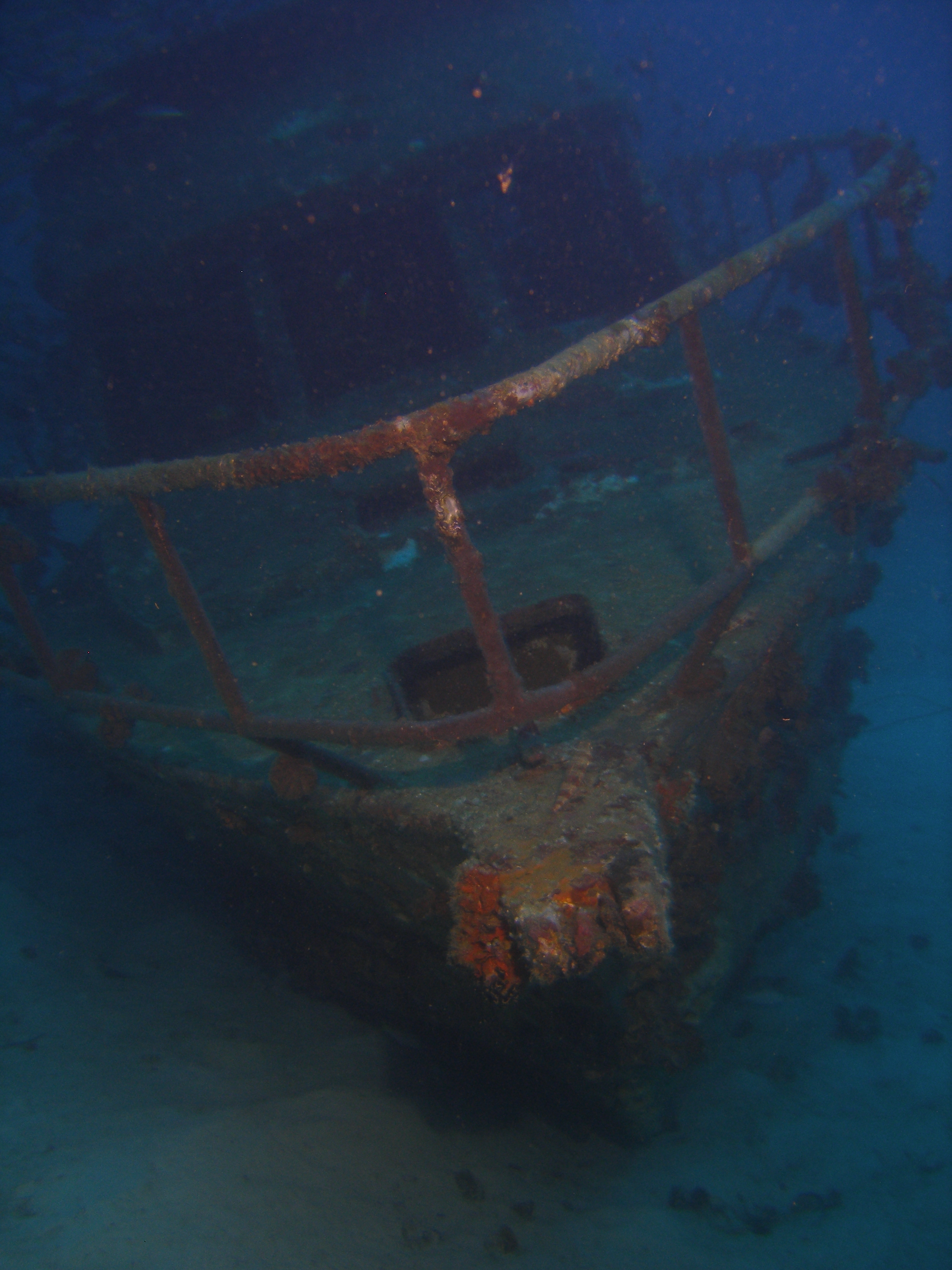 Bohol Diving - Diving Bohol